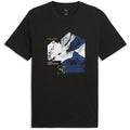 Puma GRAPHIC Mountain Tee