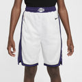 Dri-FIT NBA Swingman Los Angeles Lakers Shorts