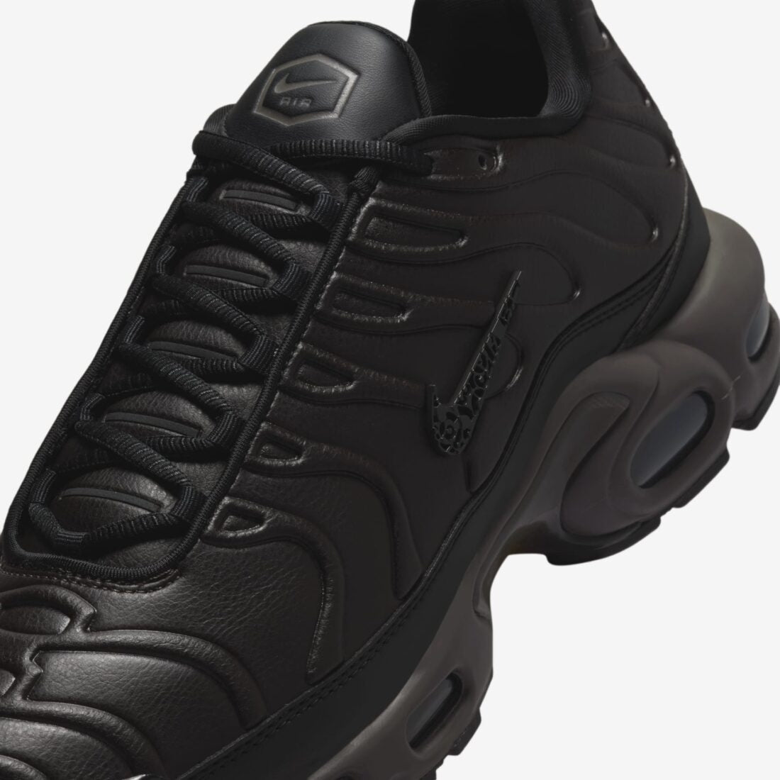 Nike Air Max Plus Black Tea hj4519-200